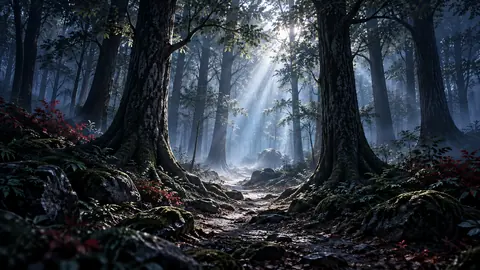 Illustration of a quiet wooded path inspired by the Sacred Grove.